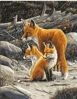 Fox Family Animals Paint By Numbers