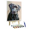 Custom Dog Paint By Numbers