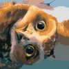 The Owls of Ga'Hoole Birds Paint By Numbers