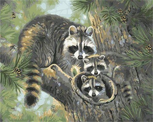Raccoon Family Animals Paint By Numbers