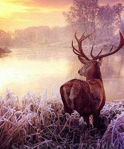 Deer By River Paint By Numbers