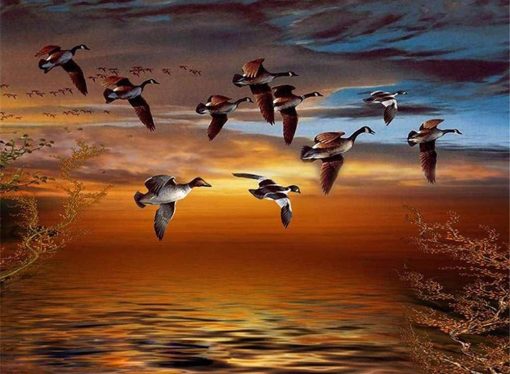 Geese Fly South Birds Paint By Numbers