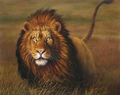 Grassland Beast Lion paint by numbers