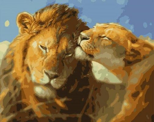 Lion Couple paint by numbers