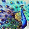 Peacock Birds Paint By Numbers