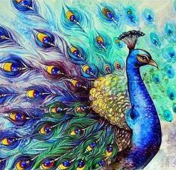 Peacock Birds Paint By Numbers