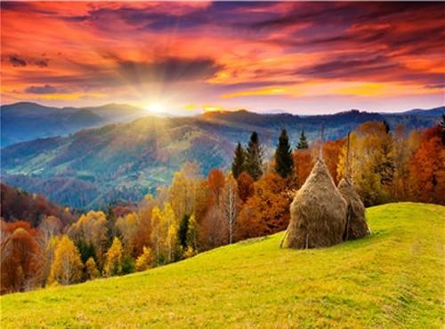 Sunrise Scenery Landscape Paint By Numbers