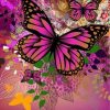 Pink Butterfly Paint By Numbers