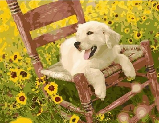 Puppy on a Chair paint by numbers