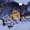 Snowy Bench Paint By Numbers