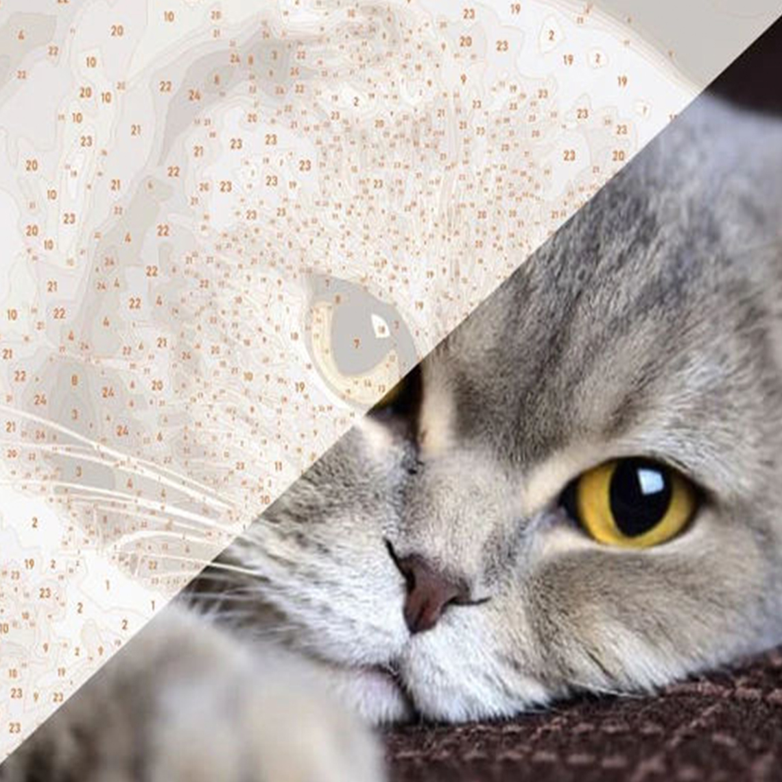 paint by numbers customized Cats