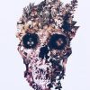 Skull Light Paint By Numbers