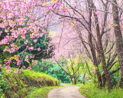 Cherry Trees Paint By Numbers