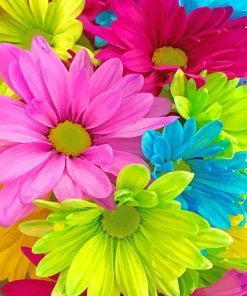 Colorful Flowers Paint By Numbers