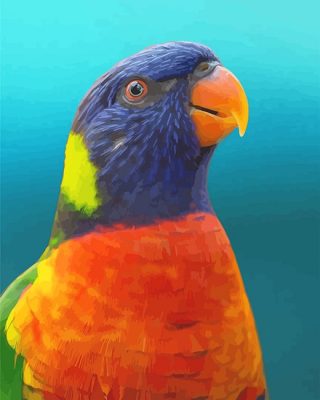 Colorful Parrot Paint By Numbers