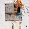 Giraffe Animal Paint By Numbers