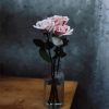 Pink Flower Paint By Numbers