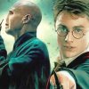 Harry Potter and Voldemort Paint By Numbers