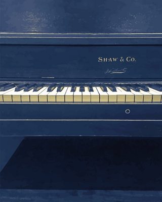 Piano Shaw Paint By Numbers