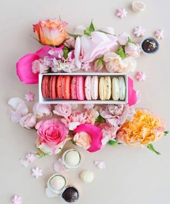 Pink Macarons Paint By Numbers