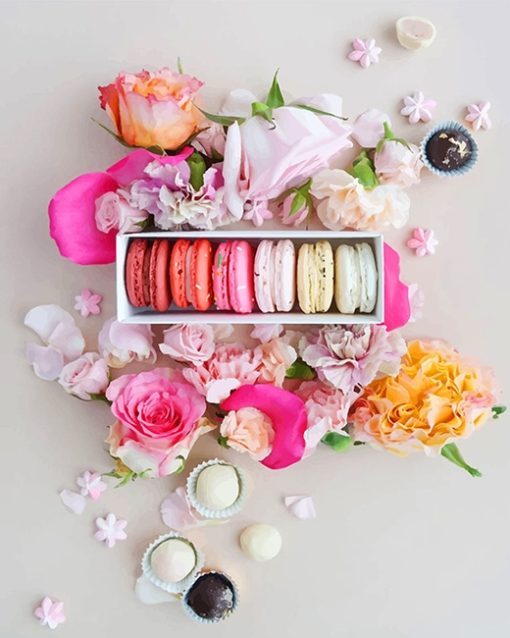 Pink Macarons Paint By Numbers