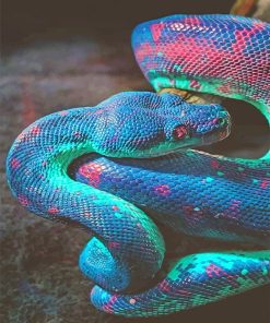 Rainbow Snake Paint By Numbers