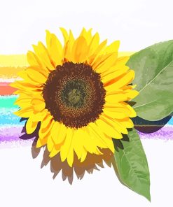 Rainbow Sunflower Paint By Numbers