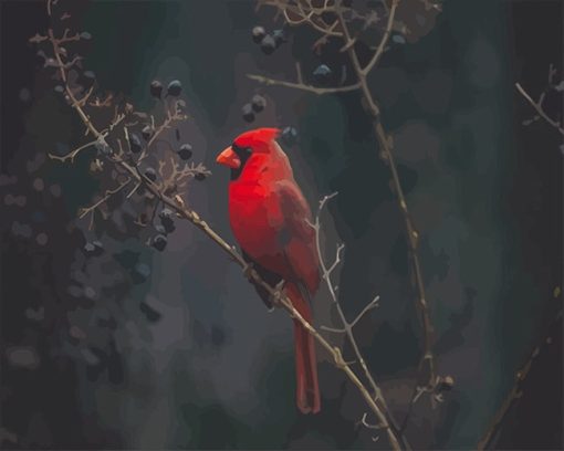 Red Cardinal Paint By Numbers