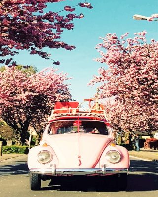 Beetle And Cherry Paint By Numbers