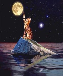 Cat Touching Moon Paint By Numbers