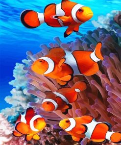 Clown Fish Paint By Numbers