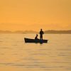 Boat Silhouette Paint By Numbers