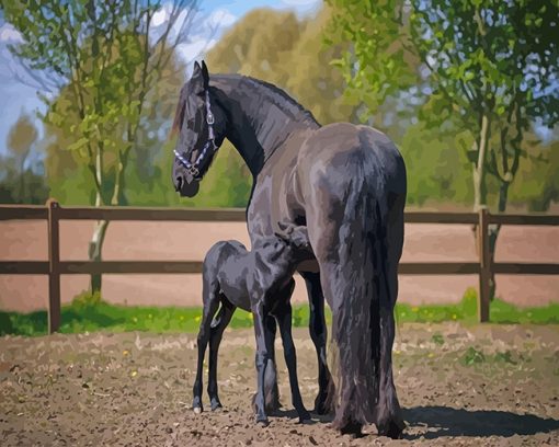 Friesian Horses Paint By Numbers