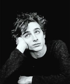 Timothée Monochrome Paint By Numbers