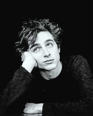 Timothée Monochrome Paint By Numbers