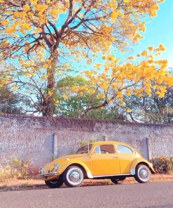 Yellow Car Paint By Numbers