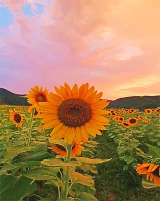 Aesthetic Sunflowers Paint By Numbers