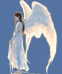 Beautiful Angel Paint By Numbers