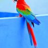 Beautiful Parrot Paint By Numbers