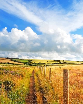 Beautiful View Nature Paint By Numbers