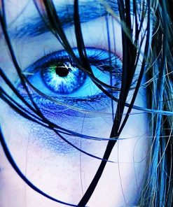 Blue Eye Art Paint By Numbers