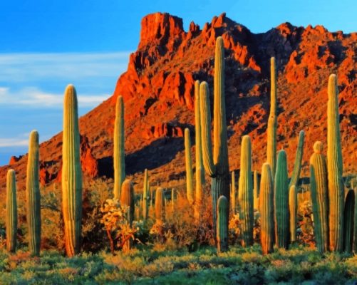 Cactus Near Mountain Paint By Numbers