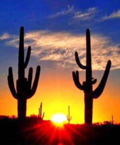 Cactus Sunrise Paint By Numbers