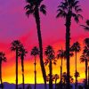 California Palm Tree Sunrise Paint By Numbers