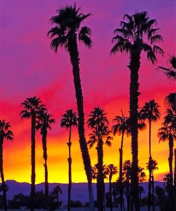 California Palm Tree Sunrise Paint By Numbers