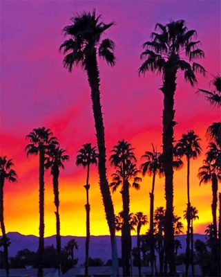 California Palm Tree Sunrise Paint By Numbers