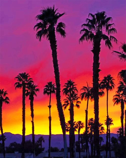 California Palm Tree Sunrise Paint By Numbers