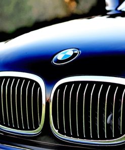 Chrome Bmw Grille Paint By Numbers