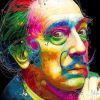 Colorful Salvador Dali Paint By Numbers