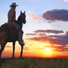 Cowboy Into Sunset Paint By Numbers